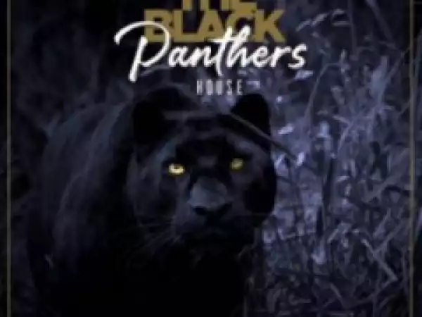 Pro-Tee X Biblos - Black  Panther